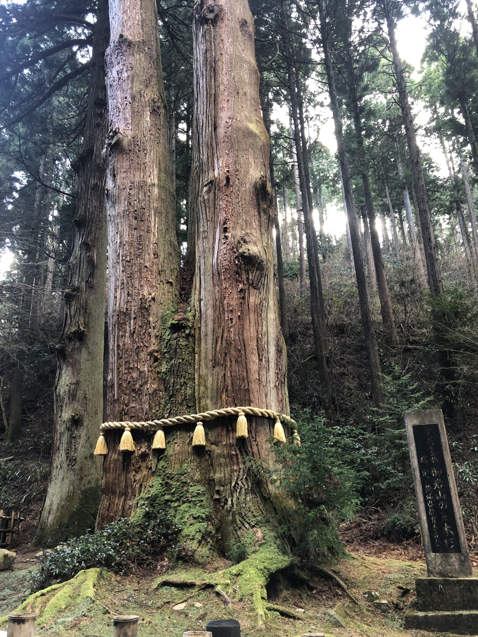 三が日は日立の御岩神社へ